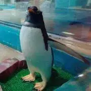 pen.の画像