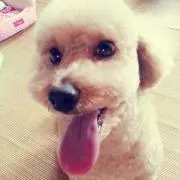 捺姫(いきなり購入❌)の画像