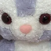 りんごの画像