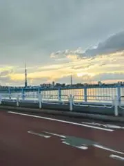 りんの画像