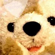 のん