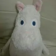 どってぃの画像