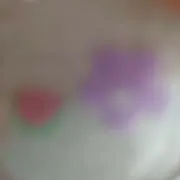 すいか