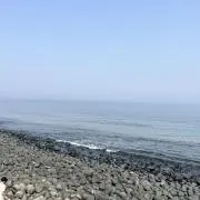 teeeeeの画像
