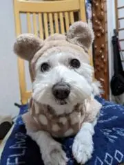 keyの画像