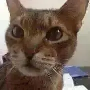 ジュニさん0628の画像