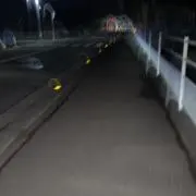 かいの画像
