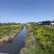プロフ必読の画像