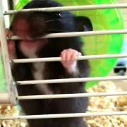 ぬし