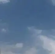 マグノリアの画像
