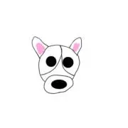 momoの画像