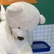 きうい　購入前コメントお願いします。の画像