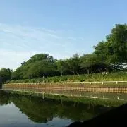 みー