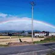 のっぽの画像