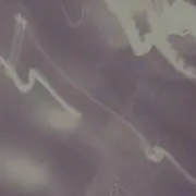 yns