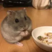 mi