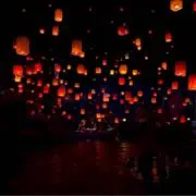 やはりハリー・ポッターの画像