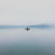ZSの画像