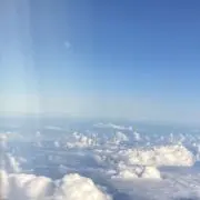 かもめの画像