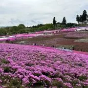 RIの画像