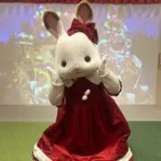 ひゃんの画像