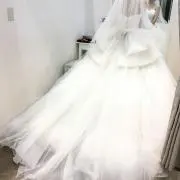 こあらの画像