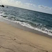 海辺の画像