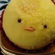 ひよっこ