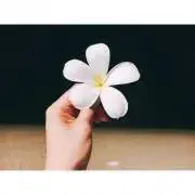 ちぴの画像