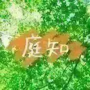 庭知の画像