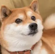 たっちゃん