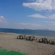 ゆりにかの画像