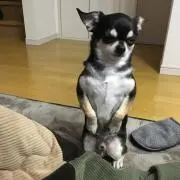 K.Kの画像