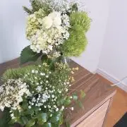 めいの画像