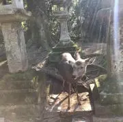 mikiの画像
