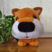 ほんわかわんこの画像