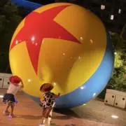 Pの画像