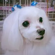Jun eitherの画像