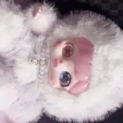 金欠の画像