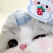プロフ必読❣️まとめ買い割引❣️の画像