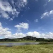 mmの画像