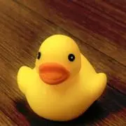 はやとんの画像