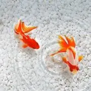KIRA☆MEKIの画像