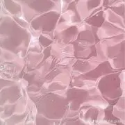 鹿の歯科