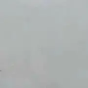 山田
