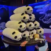 ぱんだ