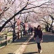Jasmineの画像