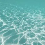 あの画像