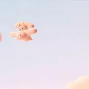 rの画像