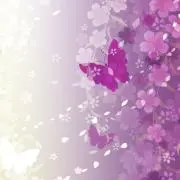 SY